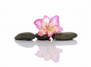 Sam Blaney | Reiki Healing Chester, Cheshire